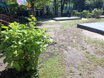 1000041245 (Copy)