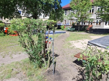 1000041247 (Copy)