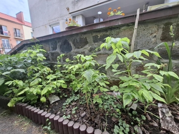 1000042090 (Copy)