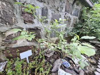 1000042091 (Copy)