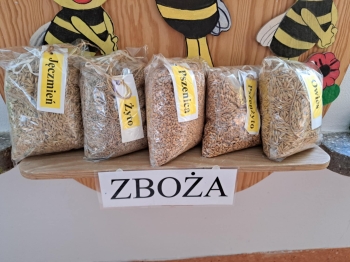 4b567311-b237-4dca-a23a-3bce3b922fbc