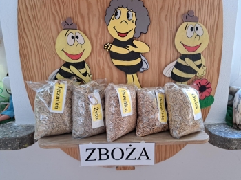 5f9bda3a-8414-4080-b92d-e060d87da339