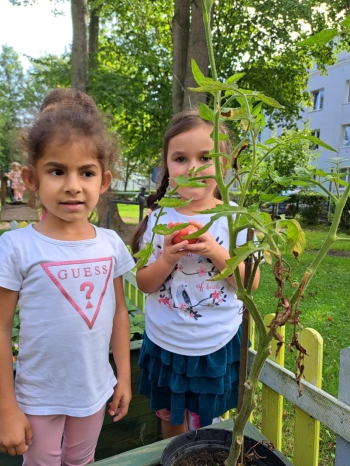 31f6f50a-65e8-4bad-b805-a517f3a4fd37