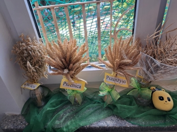 850046da-a2d0-43fc-a836-e9c2149b50ab