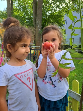 d3179634-750d-41ef-83ca-dc0ebb78a9f2