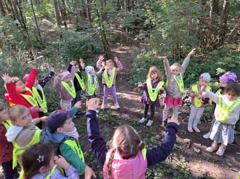 539e6674-e742-43b3-8d29-aedf1ab7ab33