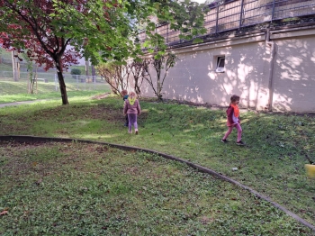 5505db86-f311-4c9f-9287-b42b2a9692cb