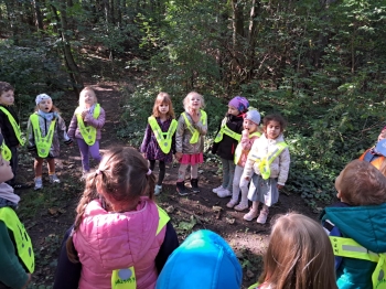 77816ddc-d6e1-4911-9a44-bf21b0159356