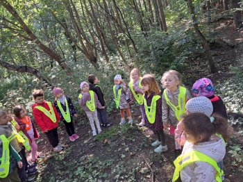 57124e95-1ac0-443f-8320-35436803a219