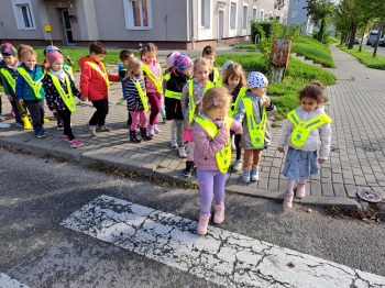 206241c5-8b18-4eef-bdc8-472f563fa05f