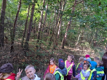 c8d0250e-44f4-4eae-9736-31ef88568af5