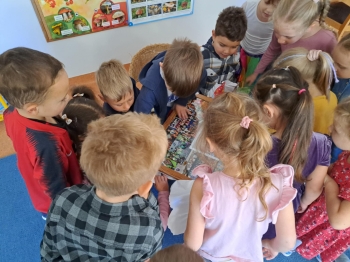 2c5522f5-c1a5-49af-aada-cb9b26ef3ebf