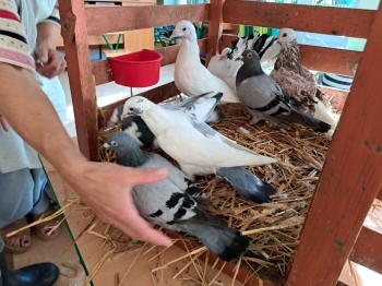 82e01fa8-0215-4a71-8d2c-899aff3b9222