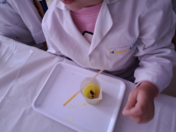 5ac609ff-4b63-48ff-b9b1-2d663b116957