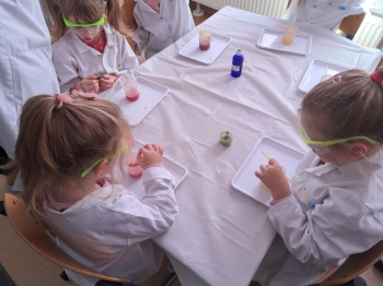 e6cf7151-58e6-4644-b648-23114947abff