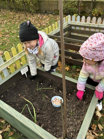 24bbd105-0d3d-4f13-afb2-8e332cbdf643