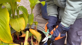 42ab86a3-1cde-4927-9641-9727a1aaaf93