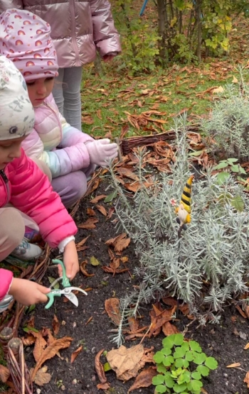 89b9d1e2-5ae1-4b14-baa5-7fd0c4c1bd76