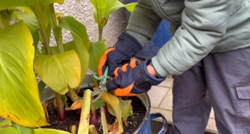 167ed1bf-fa9f-4267-a4d1-8bf2e4123856