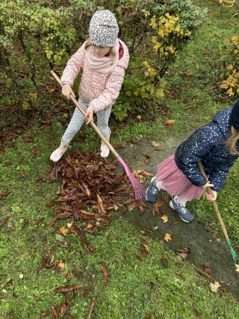 300fdef7-3721-427e-a0f3-4c83866f7f92