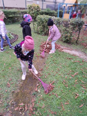 cd06af5e-84c6-4b2d-924d-3a97d1ab3584