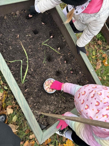 ffcefdca-799f-4f8c-b97e-961af47dd6ae