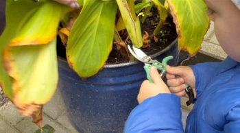 2adaa99d-e3a6-426c-a12f-19b00e5fe514