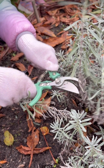 1e23bfeb-0bc3-4185-9814-3c86ef60e841