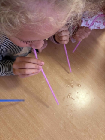 02b4a358-6afb-428f-93df-acd14d2bd117