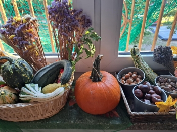 4e36ee7e-03f5-46a9-b607-65410bb2c698