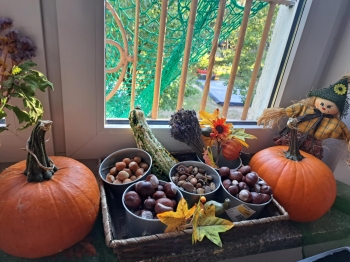 6a74dd38-b5bb-4fc7-a294-cfd9699033d7