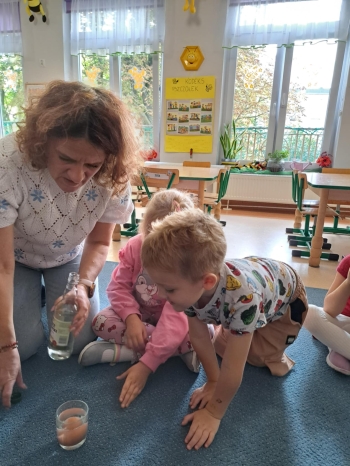 028e0045-78f5-42c9-96ba-03fe93ae1914