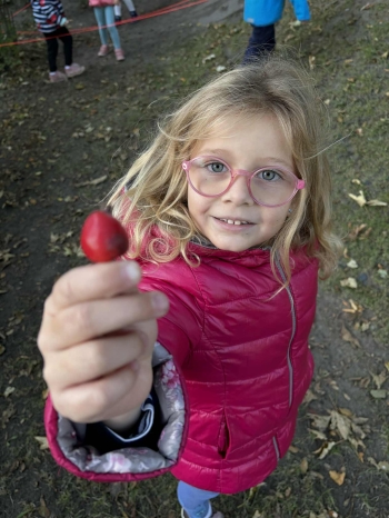 d99c5fee-9383-40aa-9c21-8bb77cd63290