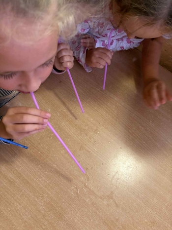 d829d407-0f73-4b5b-914e-072ee86aa507