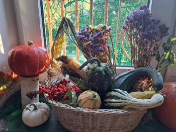 dddbbfb5-a765-4e0c-b83a-a92c23278209