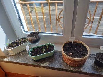 a4e7f84b-3f30-4202-af19-596154008eeb.jpeg
