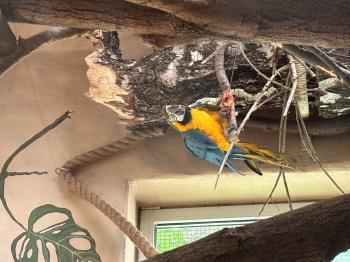 IMG_6485.jpeg