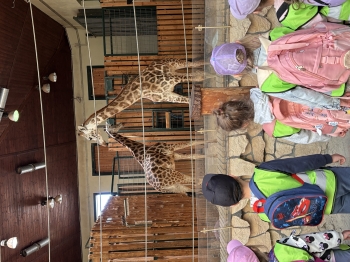IMG_6473.jpeg