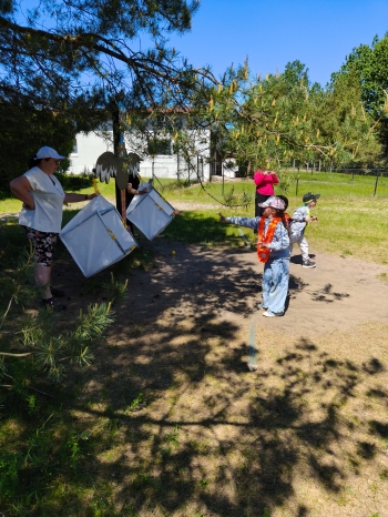 IMG20260528115552