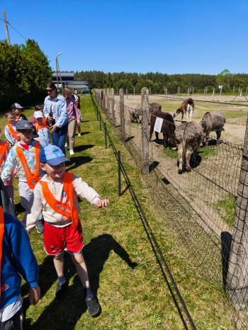 IMG-20260528-WA0062