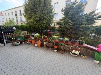 1000061447 (Copy)