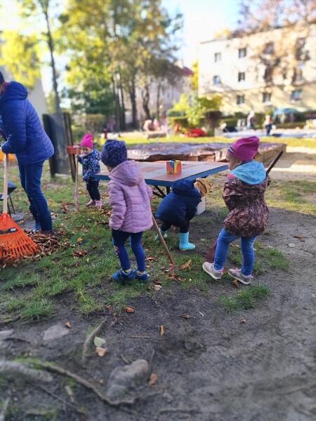 Prace porządkowe w ogrodzie