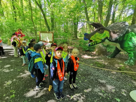 PARK DINOZAURÓW I INNE