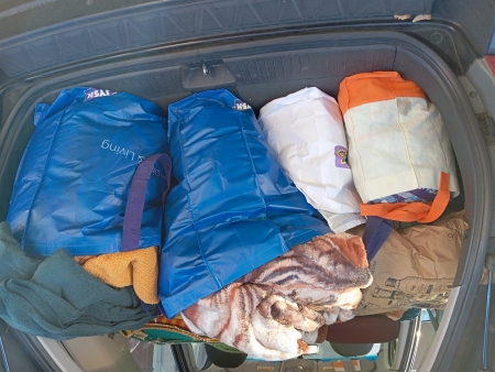 Pomoc schronisku w Bojanie