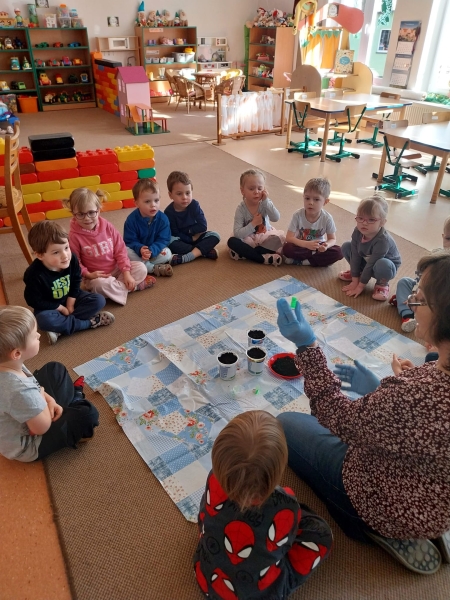 Siejemy i obserwujemy! 